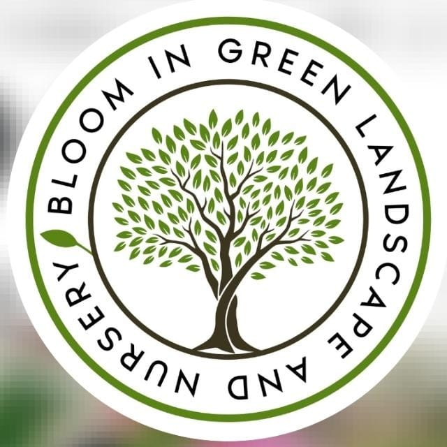 Bloom In Green